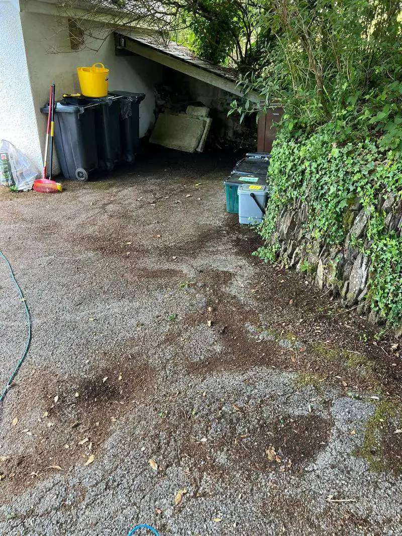 Driveway by a garage before cleaning, stained and mossy